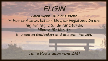 Traueranzeige von Elgin  von HNA