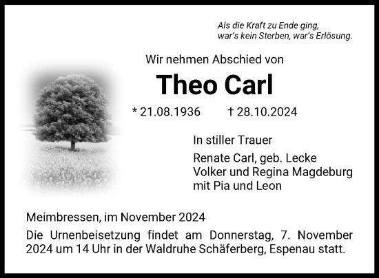 Traueranzeige von Theo Carl von HNA