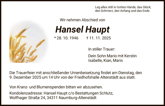 Traueranzeige von Hansel Haupt von HNA
