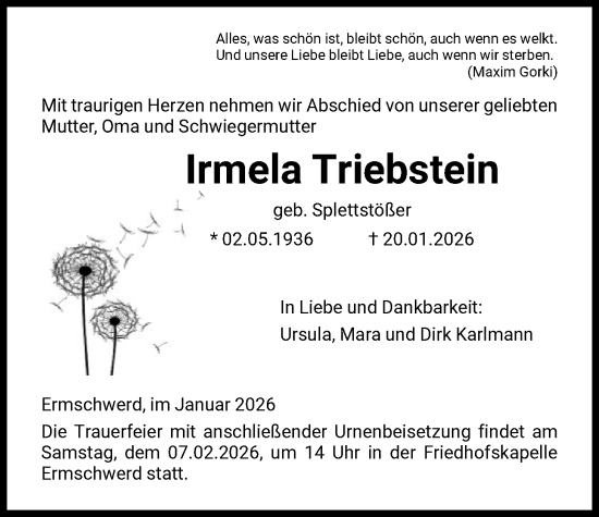 Traueranzeige von Irmelia Triebstein von HNA