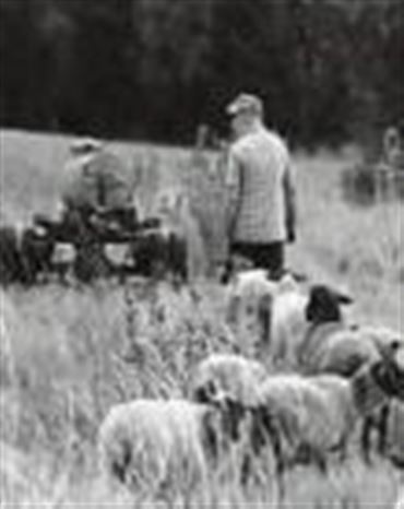 Profilbild von Erich Noll