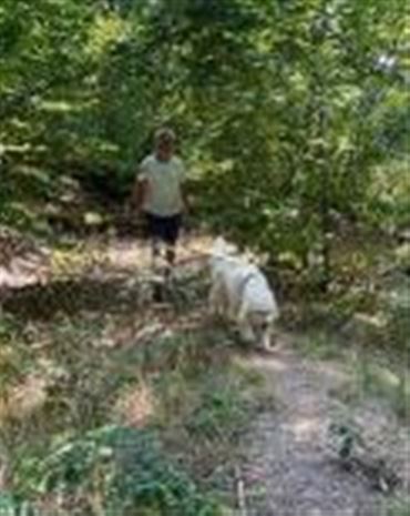 Profilbild Walter Klem