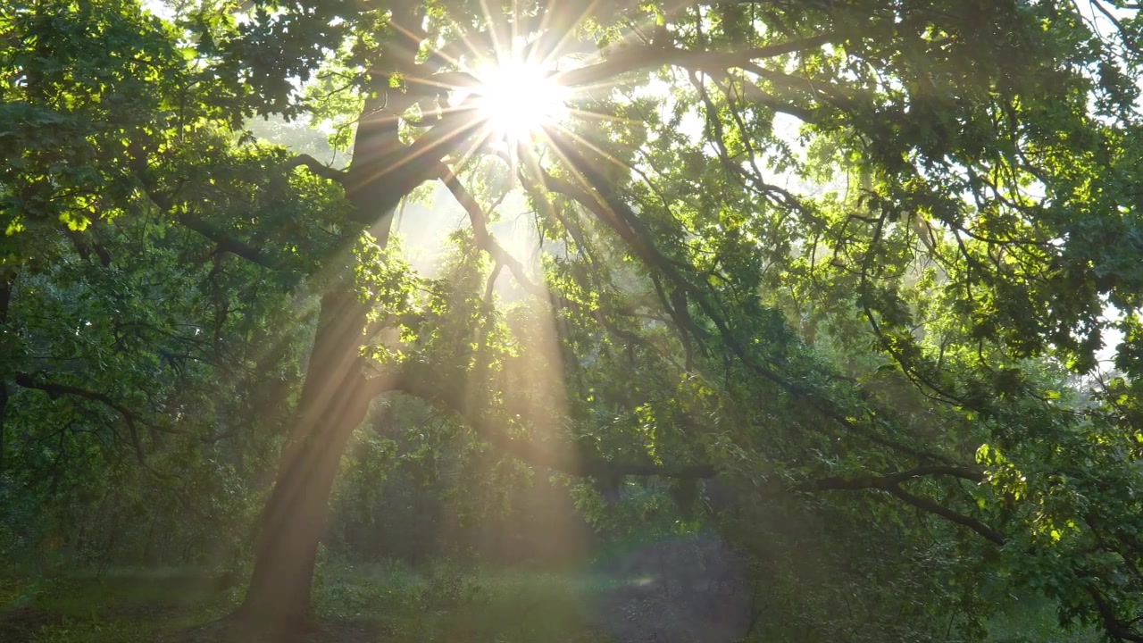 Video zur Traueranzeige 3